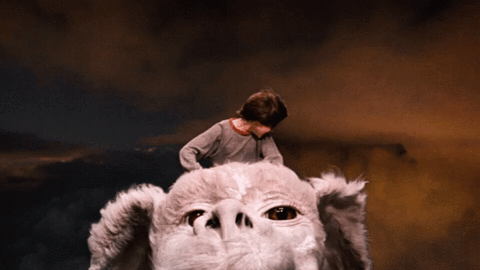 giphy-1.gif