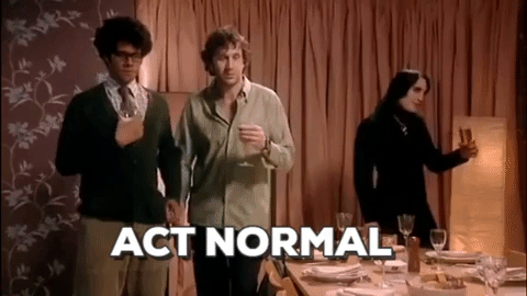 giphy-1.gif