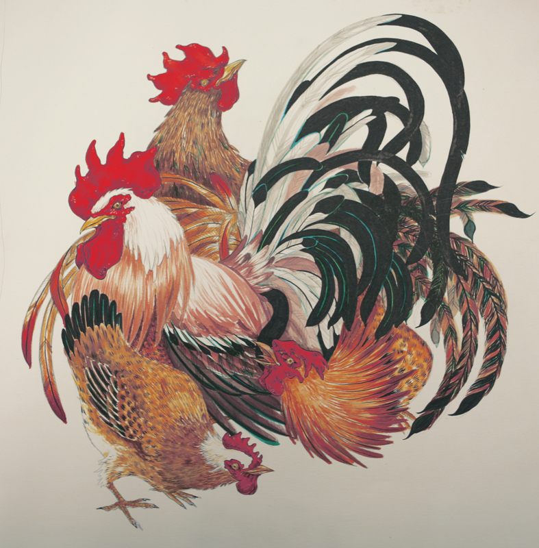 Gallos