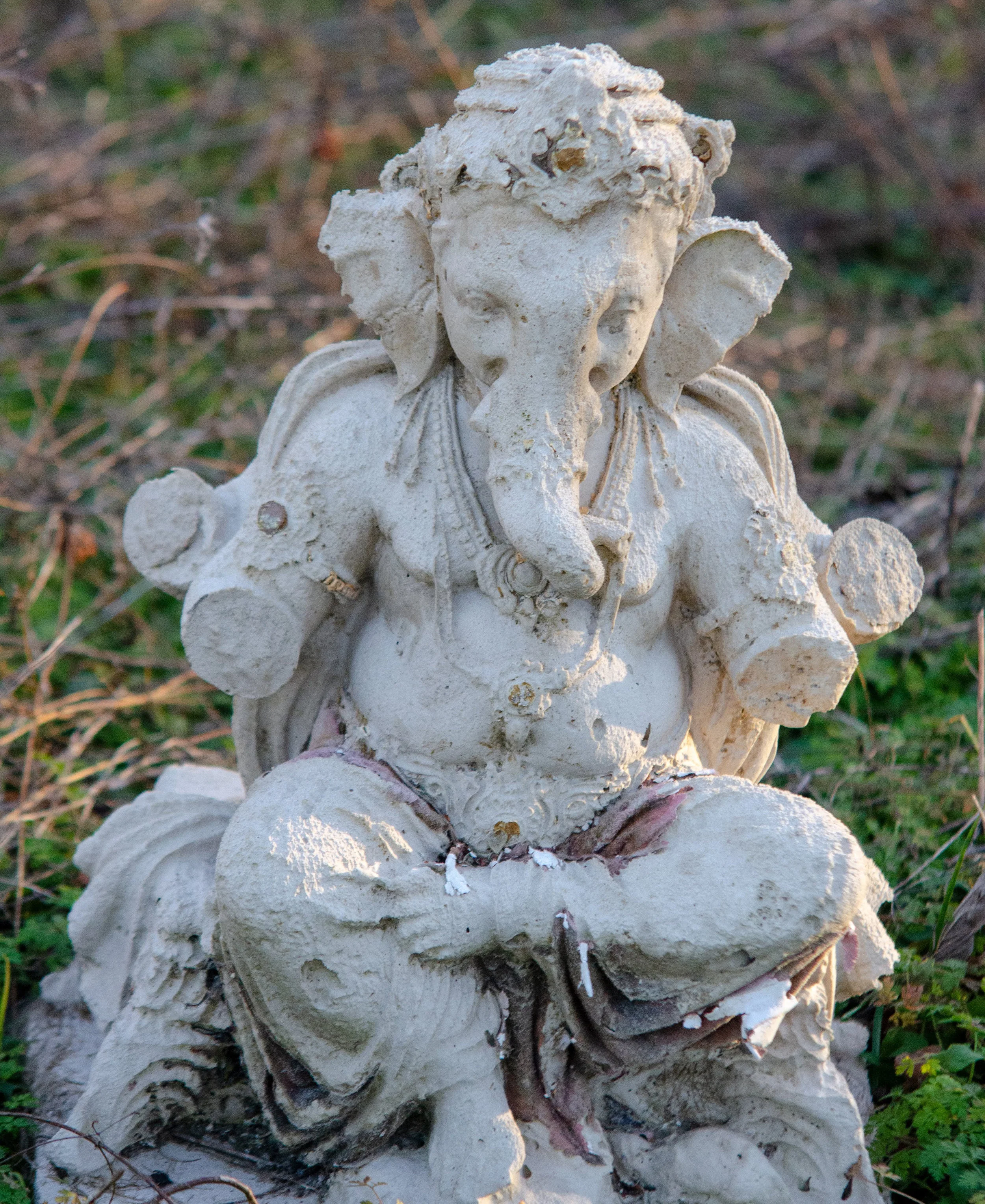 Ganesh. photo by Gwen Wooten