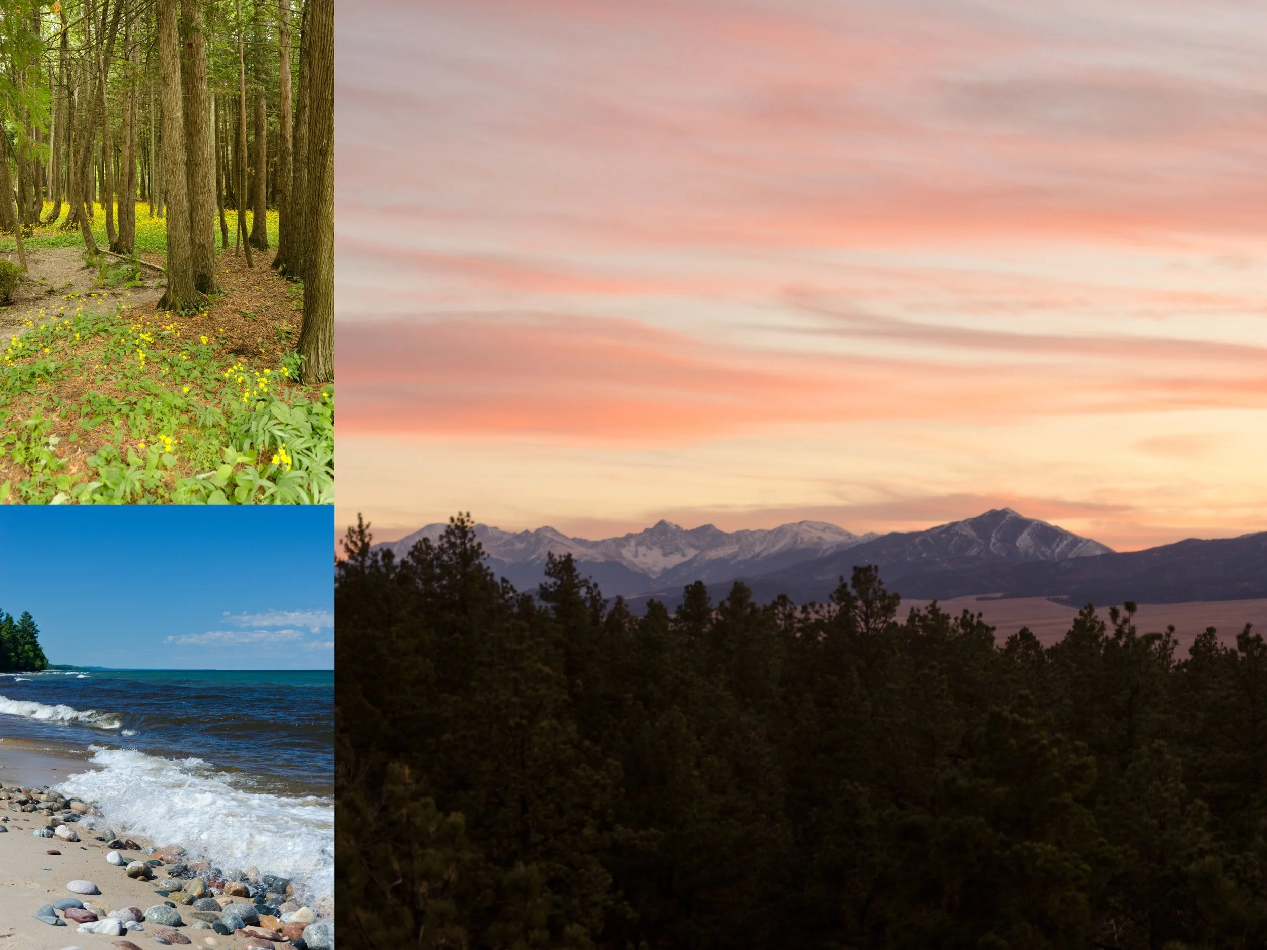 Some nature shots from vacations past. But even when I’m at home, I strive to get out in the trees, near the creeks and be.