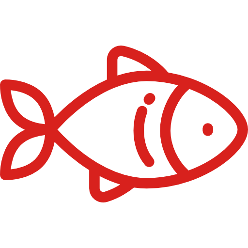 fish (2).png