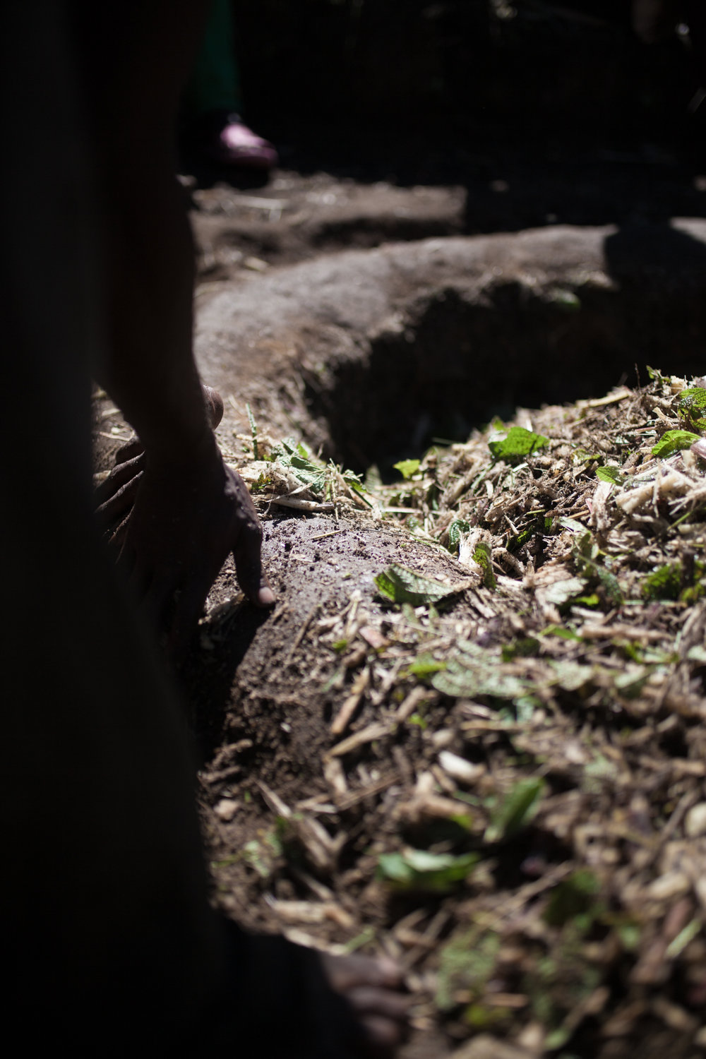  Toaka Gasy's Regional Flavours are Due to the Addition of Local Flavouring Plants Mixed with the Sugarcane 