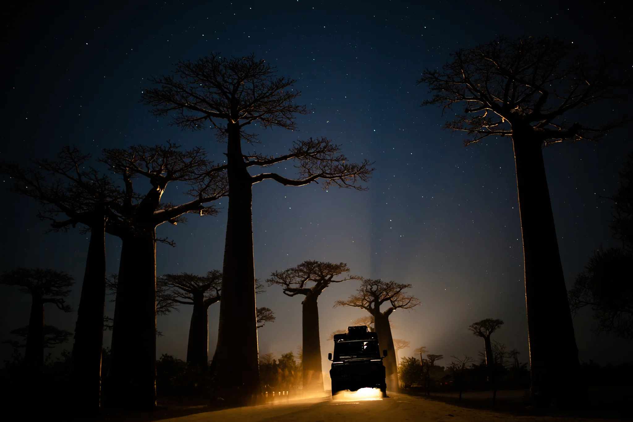 Curse of the Black Pearl pt. 1