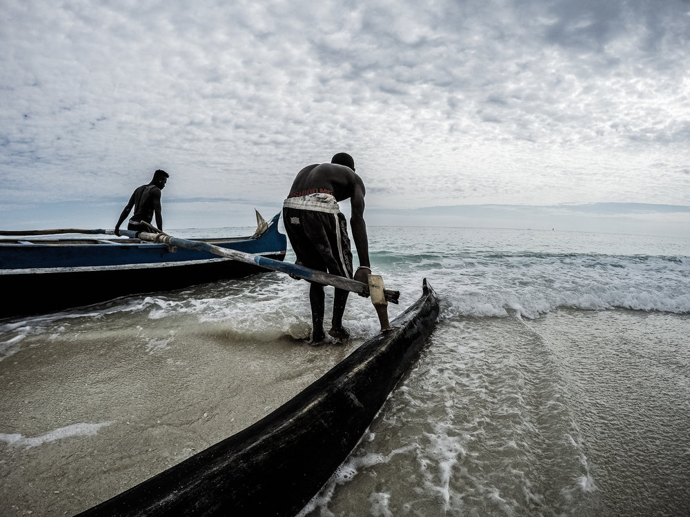  Lakanas (the standard fishing vessel) are constructed from trees felled in the neighbouring Kirindi National Park 