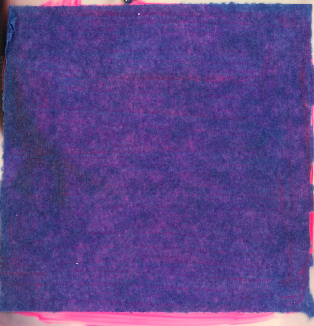 Polaroid #33 - Content.png