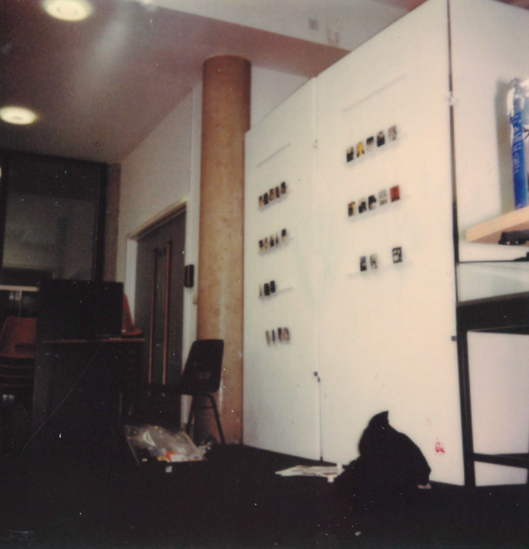 Polaroid #37 - Exhibition Progress.png