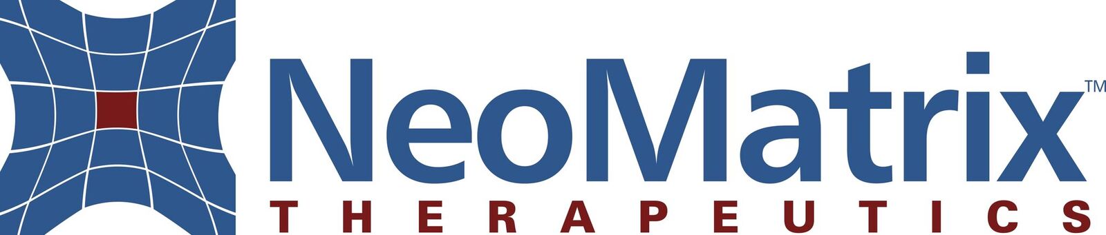 NMT-Logo - color_preview.jpeg