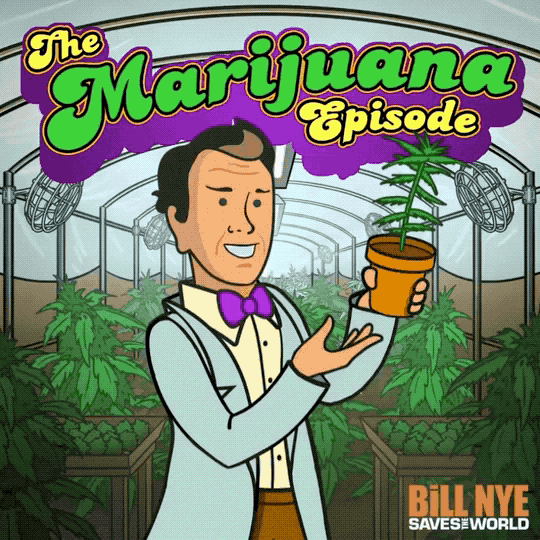 BillNyeSavesWorld_Marijuana.gif