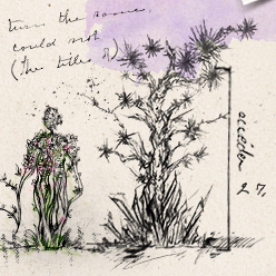 _0010_image-grid-copy-4.png
