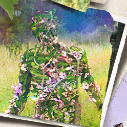 _0008_image-grid-copy-6.png