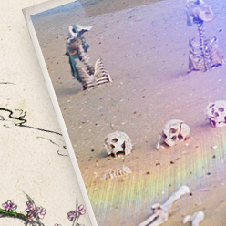 _0006_image-grid-copy-8.png