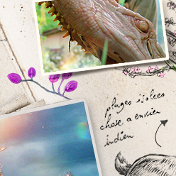 _0004_image-grid-copy-10.png
