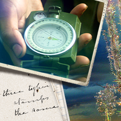 _0002_image-grid-copy-12.png