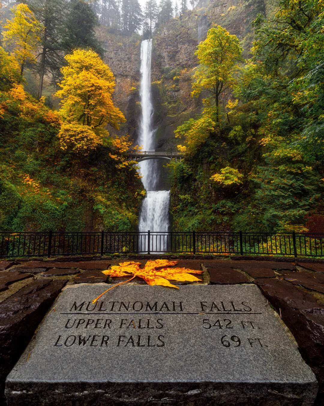 Multnomah in Autumn Final.jpg