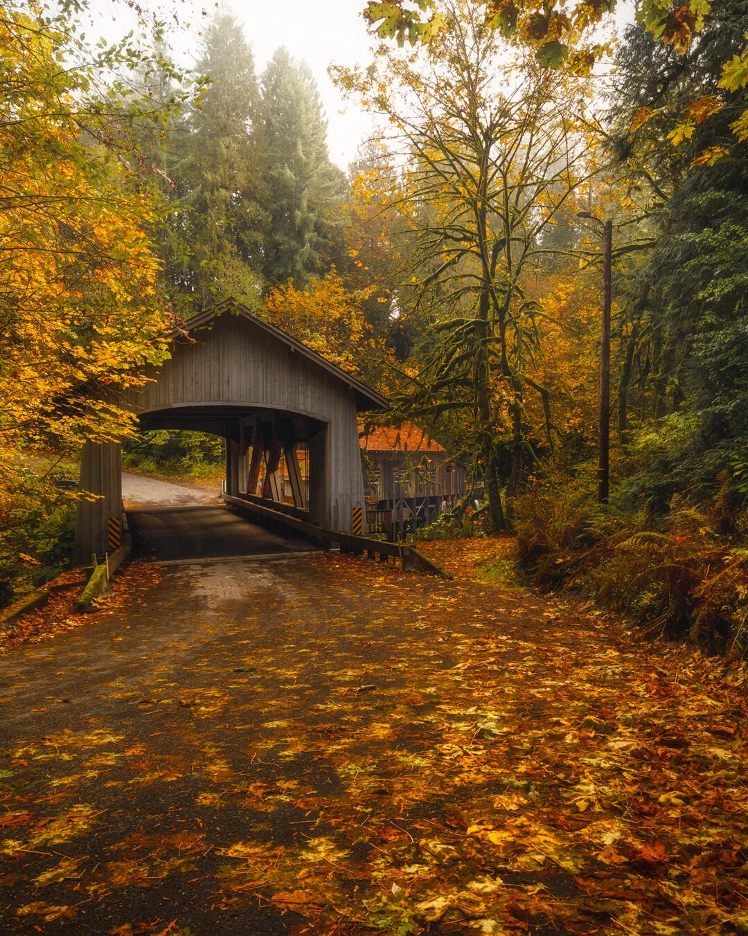 Fall Covered Bridge.jpg