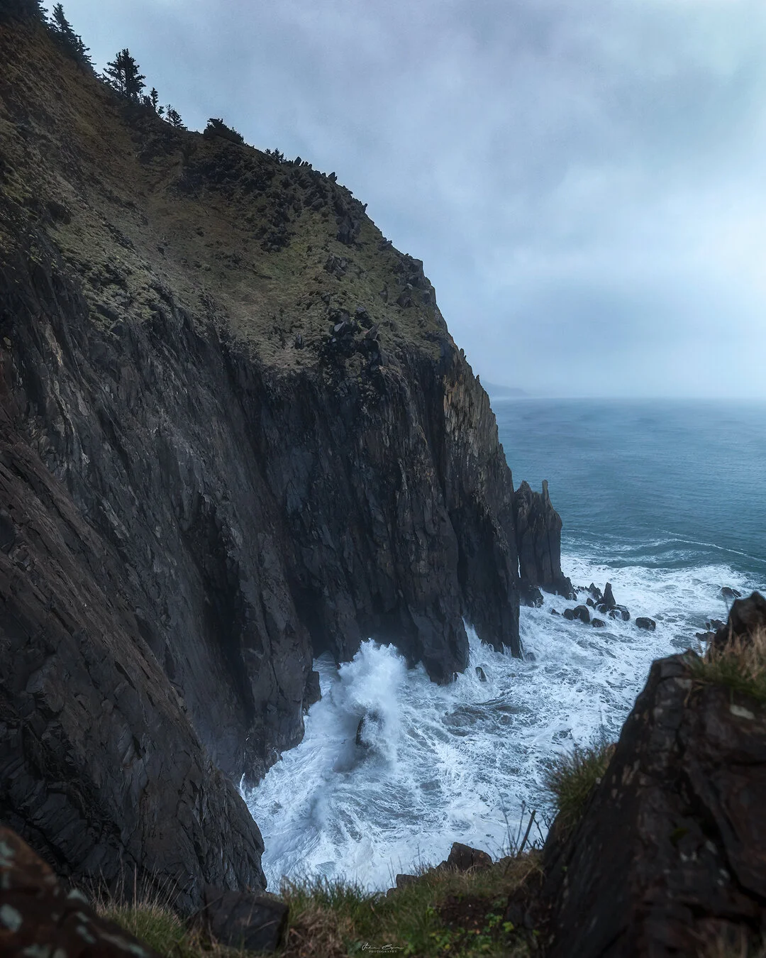 Forbidden Cliff Final.jpg