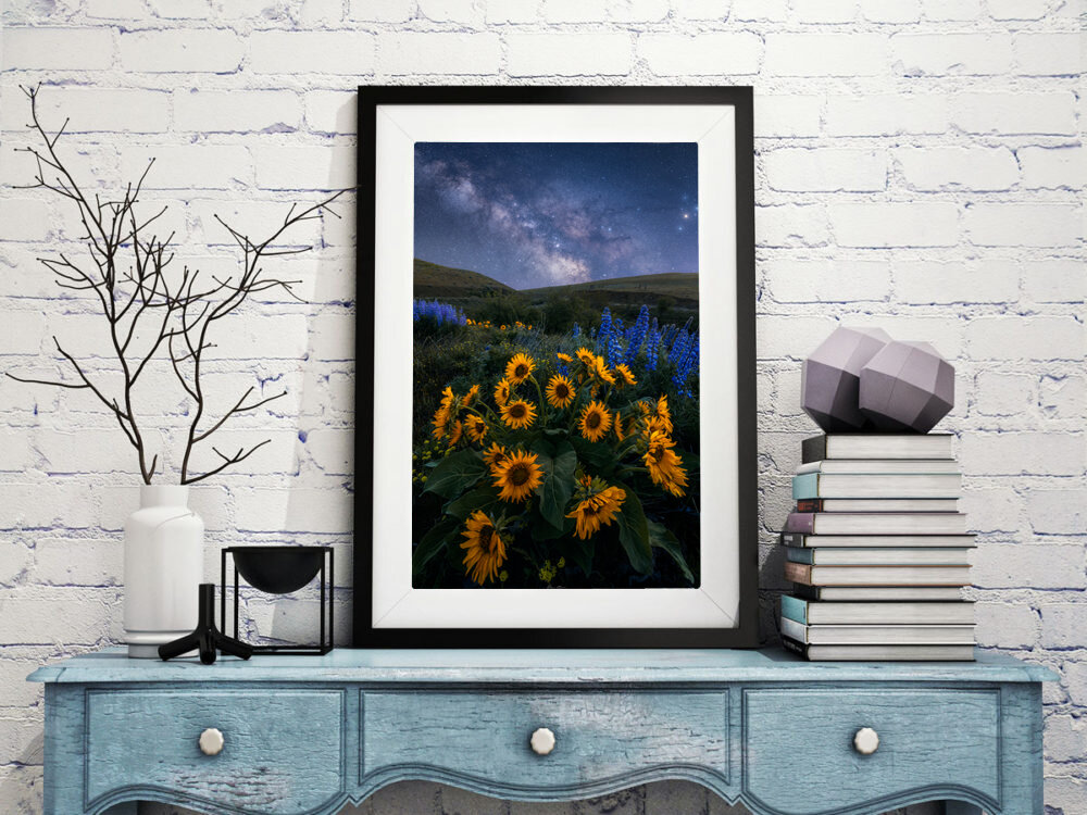 Night Flowers Paper.jpg