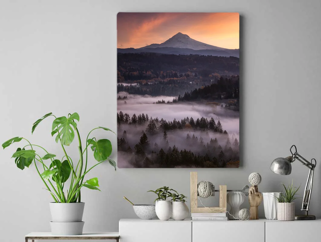 Jonsrud Viewpoint Canvas.jpg