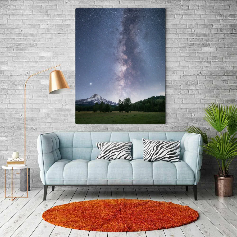 Mt Hood Meadows Metal of Canvas.jpg
