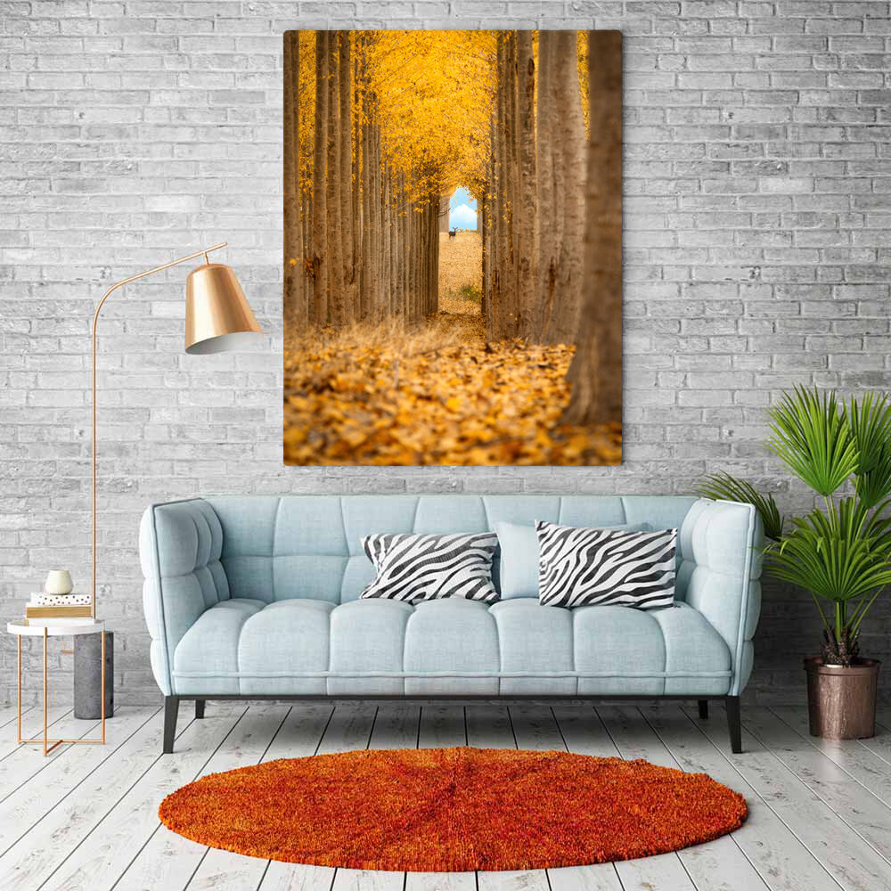 Tunnel Vision Metal or Canvas.jpg