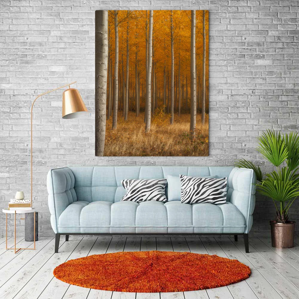 Side Light Metal or Canvas.jpg