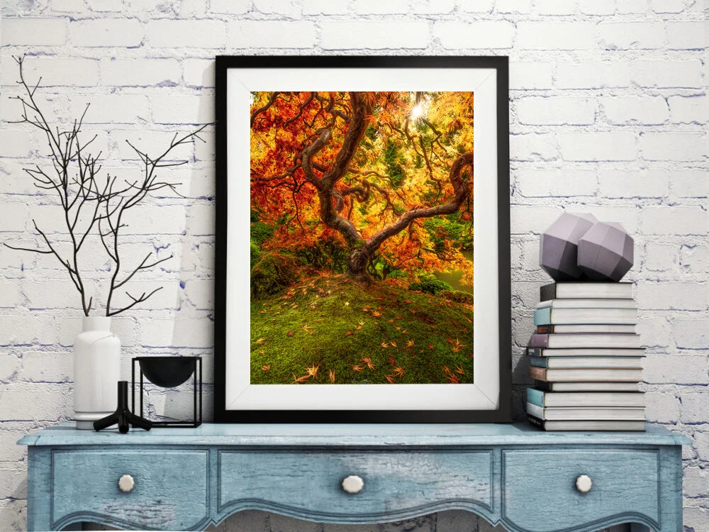 Illuminated Framed.jpg