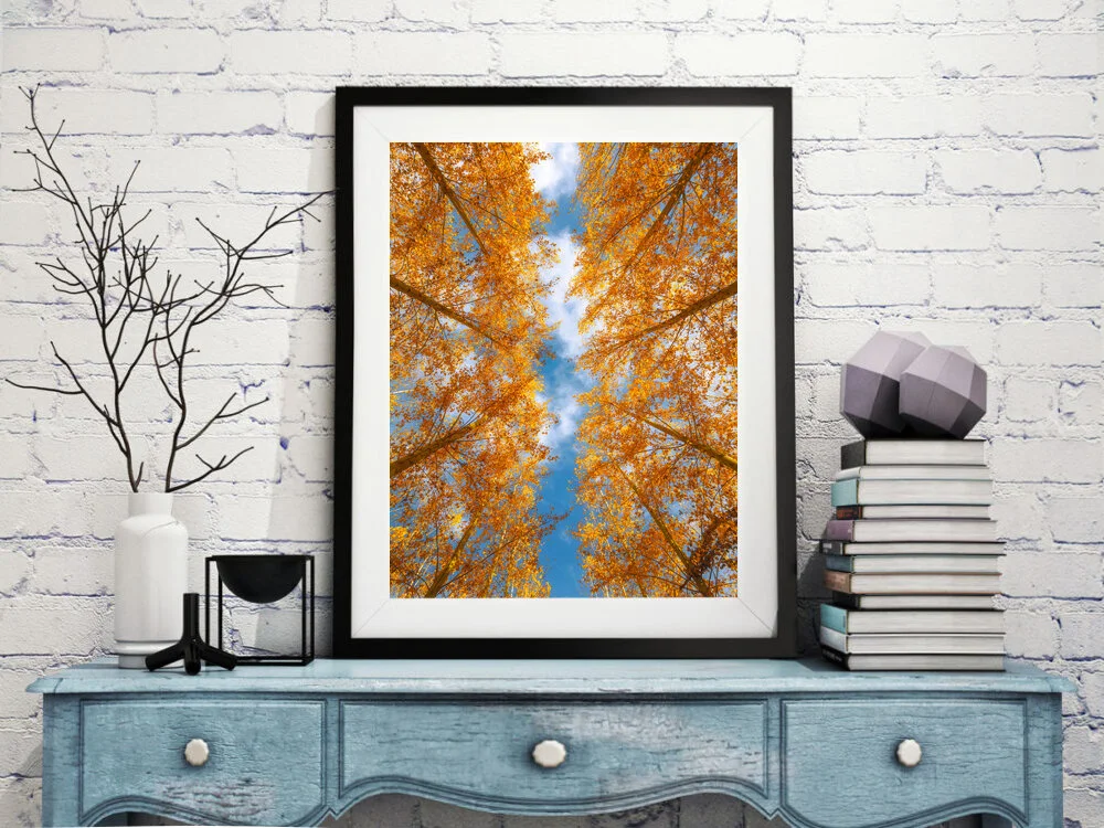 Looking Up Framed.jpg