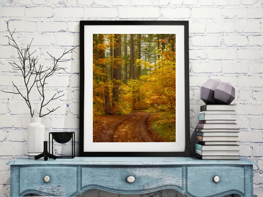 Road to Fall Framed.jpg