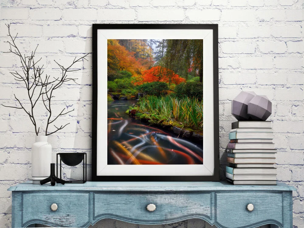Koi Trails Framed.jpg