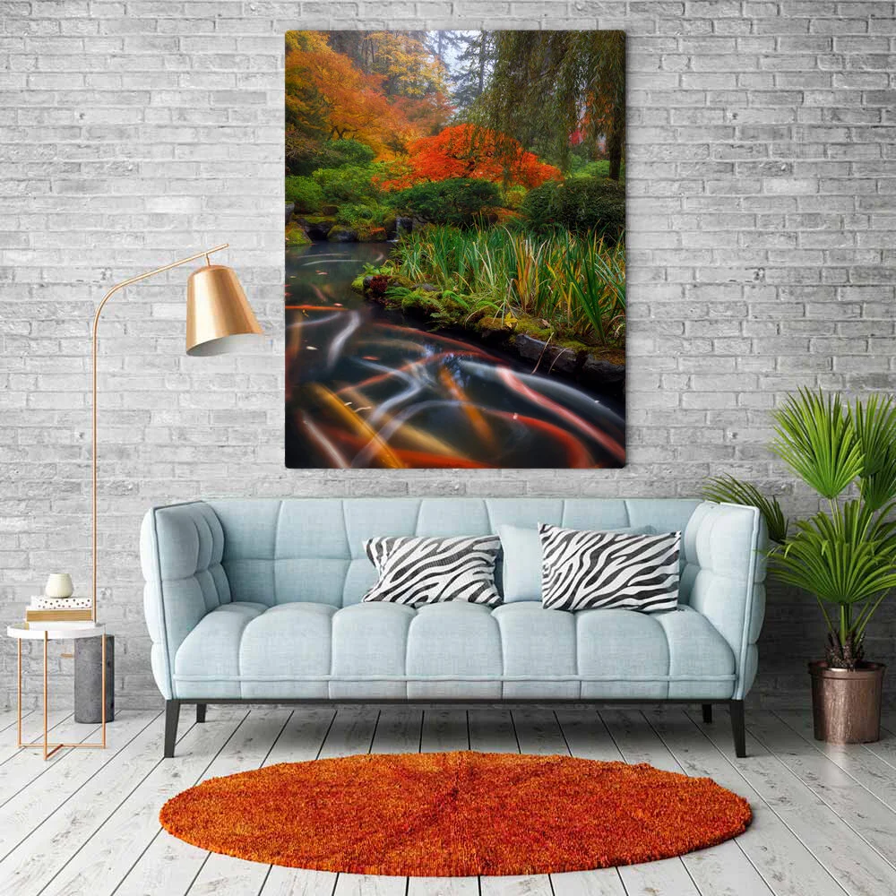 Koi Trails Metal or Canvas.jpg