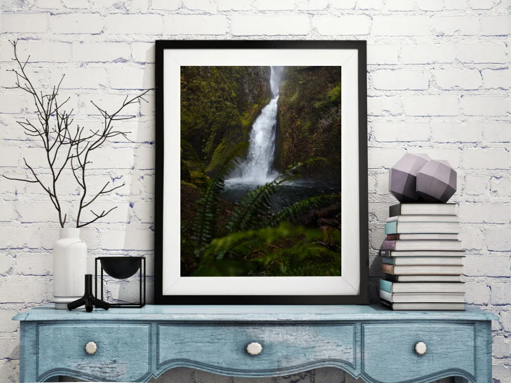 Between the Ferns Framed.jpg