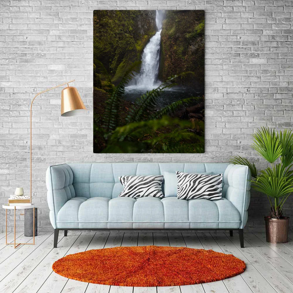 Between the Ferns Metal or Canvas.jpg