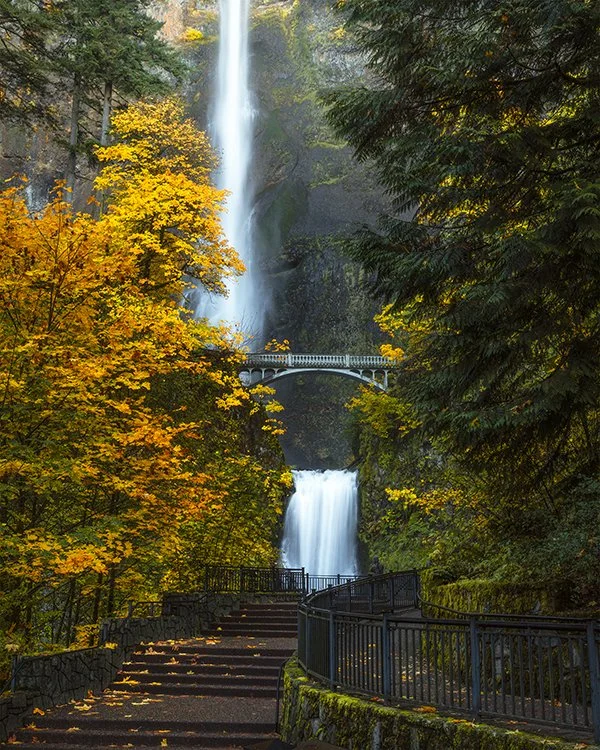 Multhnomah Autumn Morning Final v2.jpg
