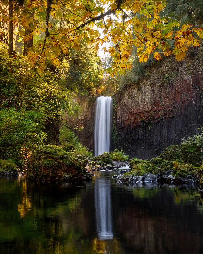 Autumn at Abiqua
____________________________________________ 

Took this photo a few years back with my good friend @lenkerbrookphotography. Full send in chest high waders to cross the creek to get this composition.
_________________________________