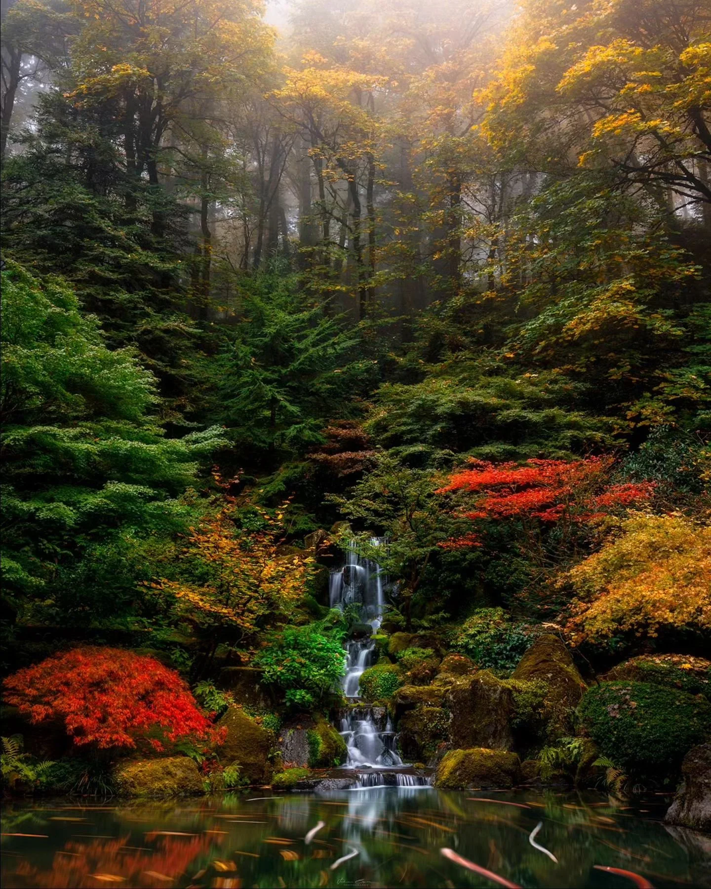 Heavenly Falls 
____________________________________________ 

One of my favorite photos from the Portland Japanese Gardens. An incredible morning with fog moving through the Garden during peak Autumn colors.
________________________________________ 