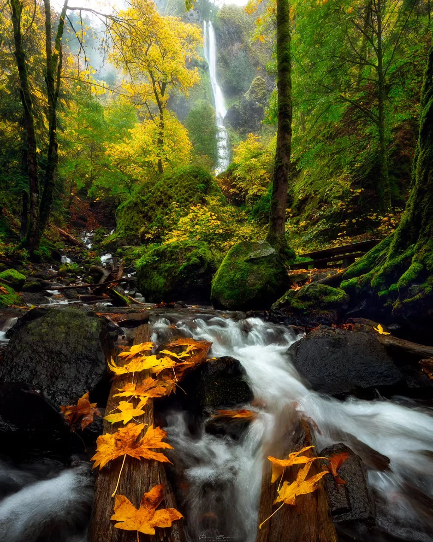 Starvation Creek 
____________________________________________ 

Easiest way to find out if your boots are still waterproof...you walk into a creek and if your sock gets wet...your boot is no longer waterproof! Cold and wet feet was worth it this moo