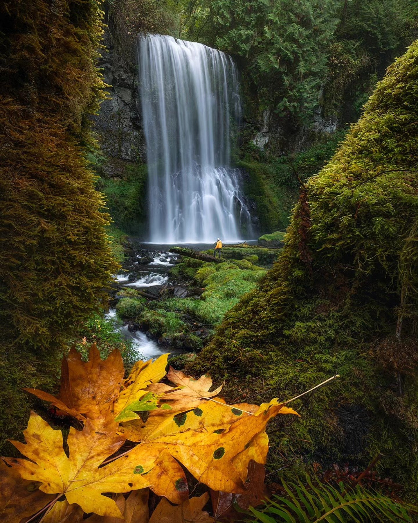 Starring down Oregon beast
____________________________________________ 

Fun times chasing waterfalls with @michaeljlindquist during the best season of the year. Kudos to him for standing in the spray zone while I snapped a few photos. 
____________