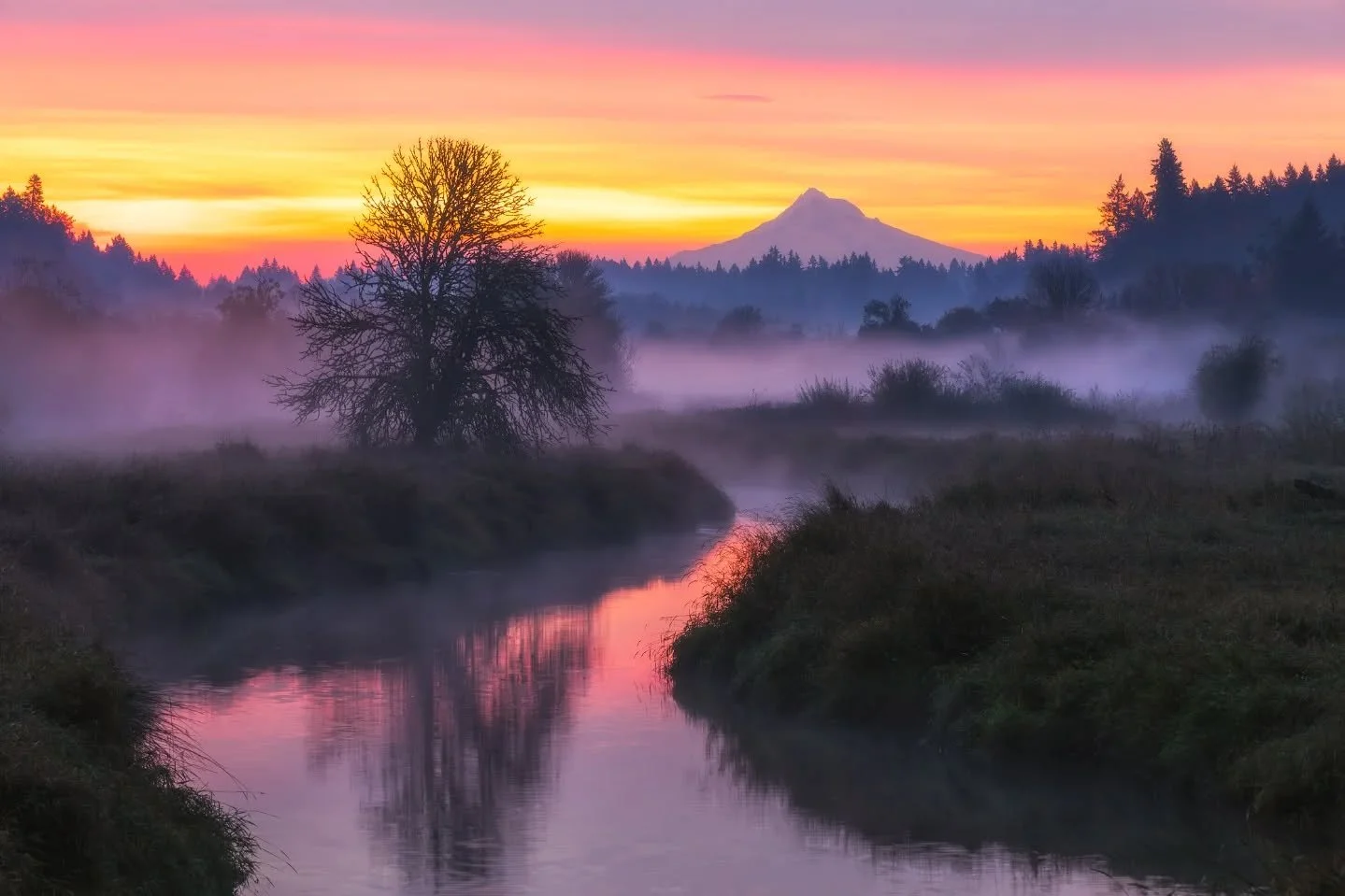 Salmon run
_____________________________________________

Views of the highest mountain in Oregon while standing in Washington never get old! 
_____________________________________________

Image Details
📷: @canonusa Canon 5dmIV
Lens: Canon 16-35 f/