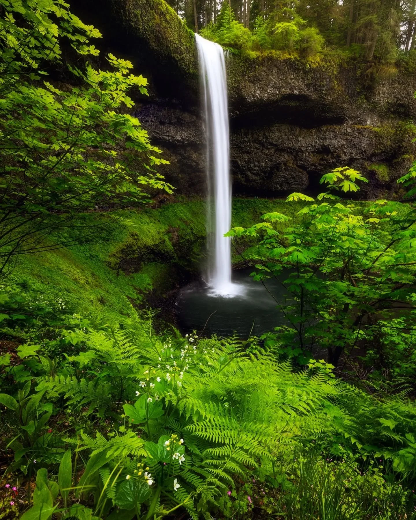 "Spring Greens" 
_____________________________________________ 

Huge shout out to @kaseglobal for sending me their new Kase Magnetic Filter kit to try out in the field. Swipe to see a fee videos of how easy it is to use their new magnetic 