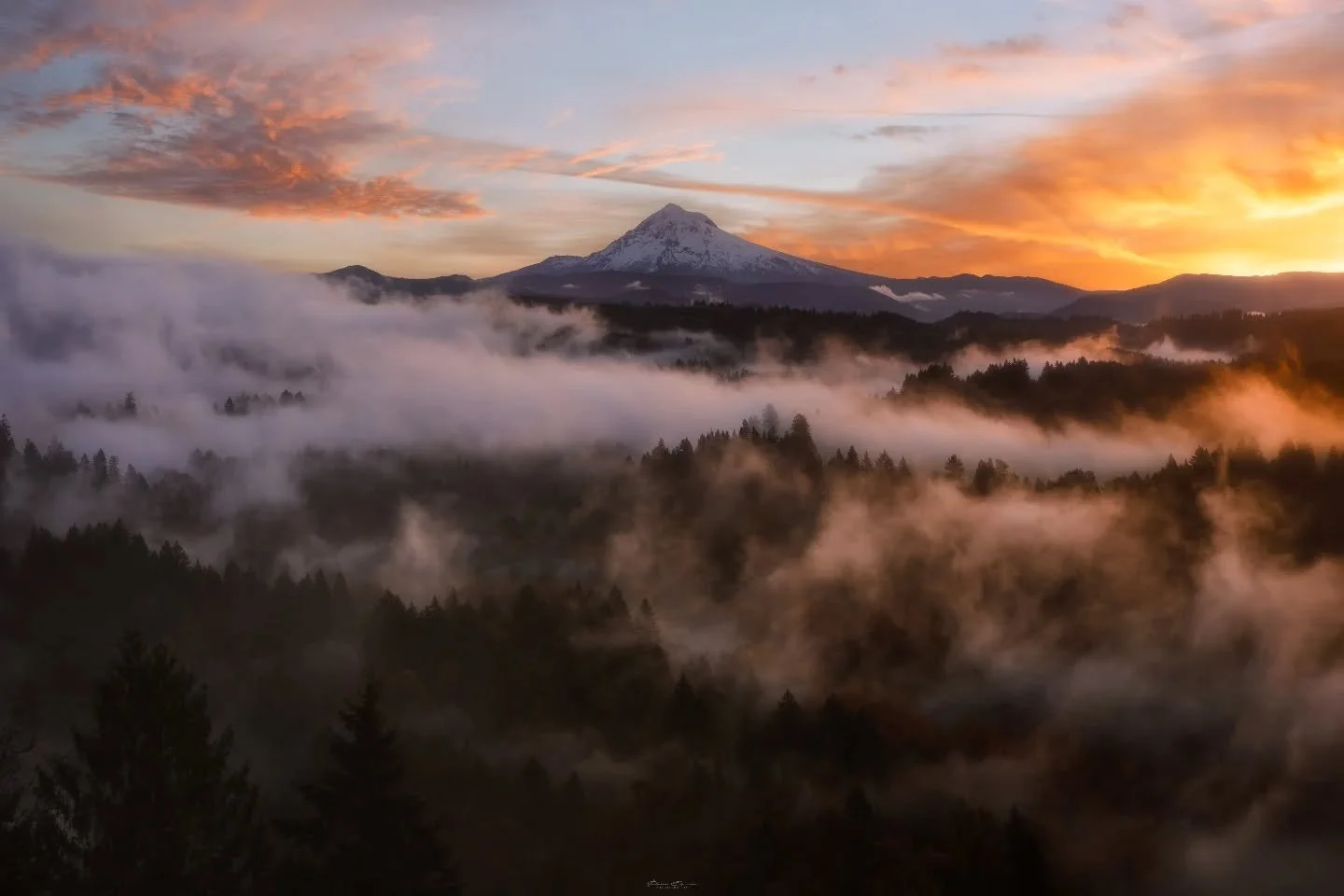 Sunrise Valley
_____________________________________________

A shot that almost never happened. About 5 minutes before this shot my buddy @dreamcapturedimages and I were standing in fog so thick that about half a dozen people got out of their cars a
