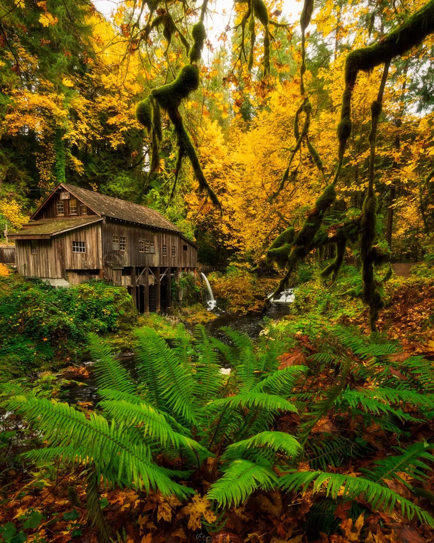 Cider Season
_____________________________________________ 

Annual visit to the Cedar Grist Mill during the best season of the year.
_____________________________________________ 

Image Details
📷: @canonusa Canon 5dmIV
Lens: Canon 16-35 f/4
Tripod