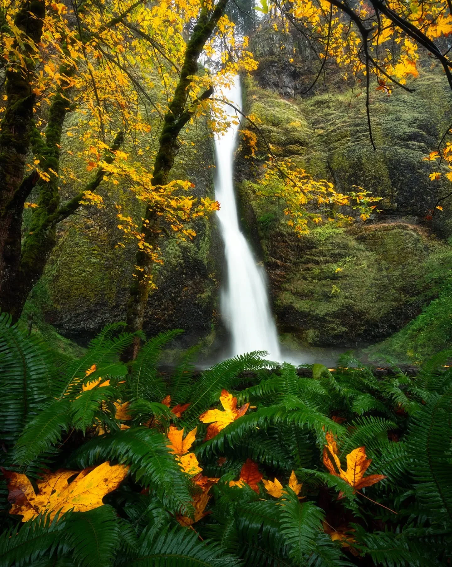 A classic Oregon roadside attraction found in the Columbia River Gorge.
_____________________________________________ 

Image Details
📷: @canonusa Canon 5dmIV
Lens: Canon 16-35 f/4
Tripod: @benrousa Induro CLT203/BHM2S
All images taken in RAW and pr