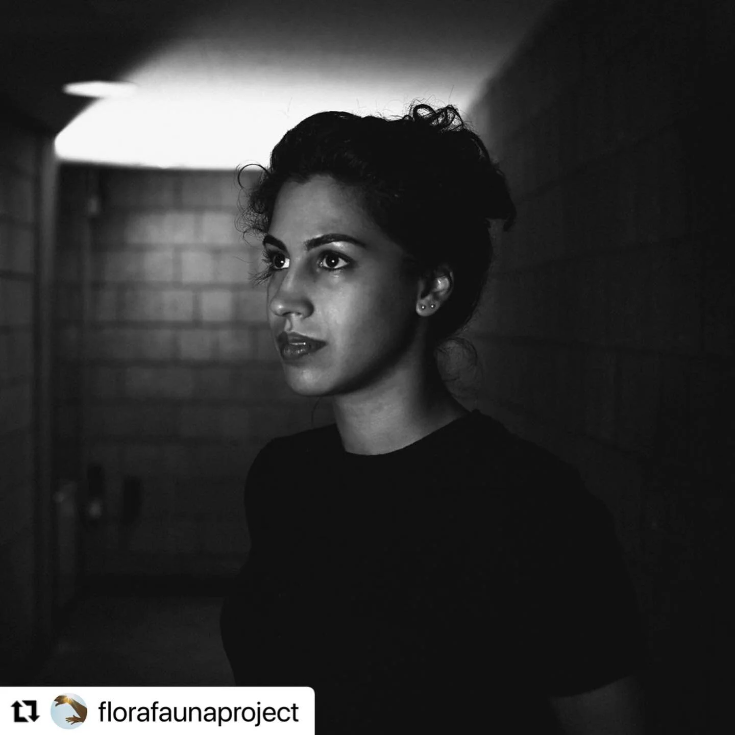 ROOM by @florafaunaproject features Dances for Solidarity founder and director @sarahrosedahnke! Follow the link in our bio to explore a lovely encapsulation of Dances for Solidarity&rsquo;s projects and goals, available through 2/28 ✨

#repost from 