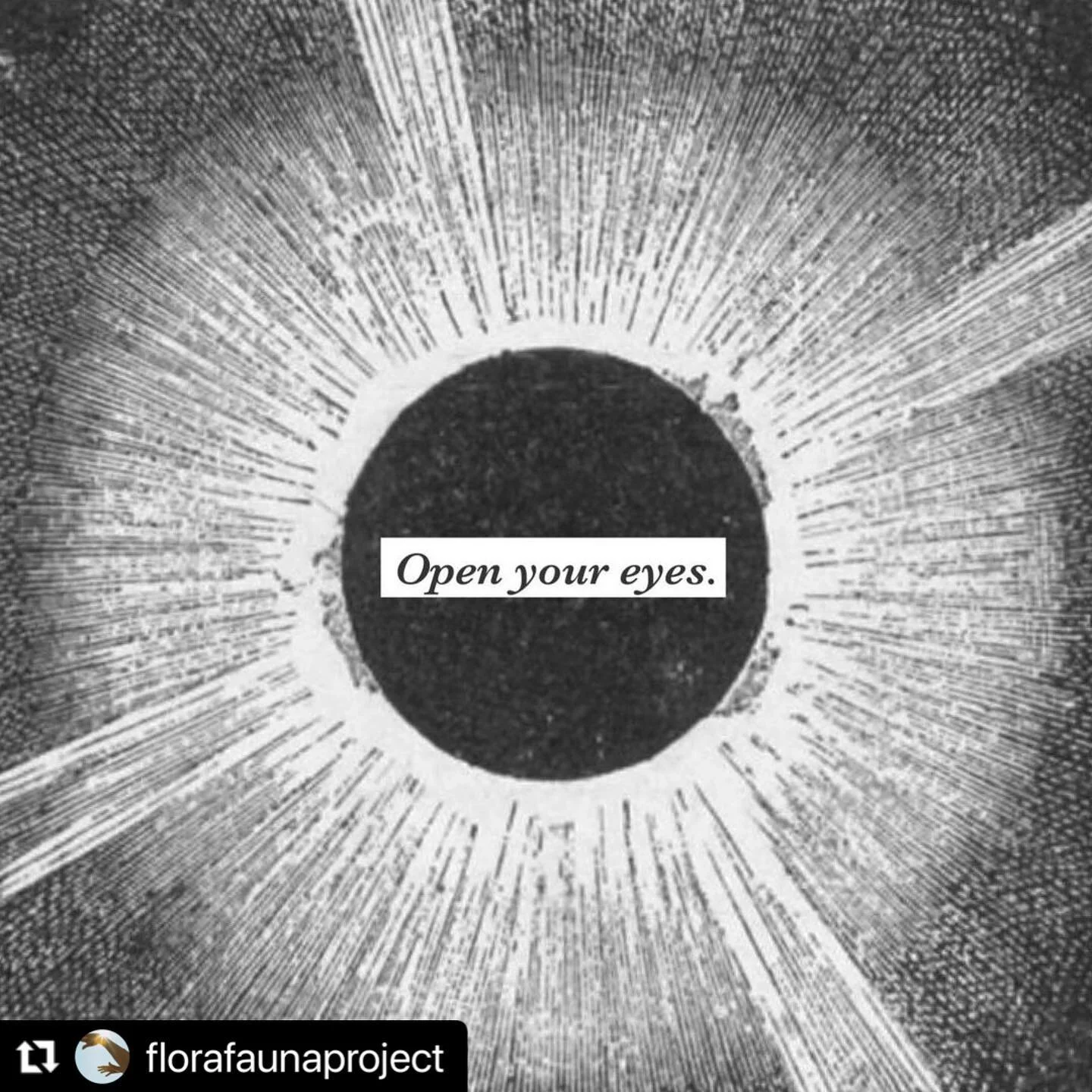 #Repost @florafaunaproject with @make_repost
・・・
On February 10th at 11.45 am we invite you to take part in Dances for Solidarity -  an ongoing project initiated by Brooklyn based choreographer @sarahrosedahnke You can read more about Sarah and this 