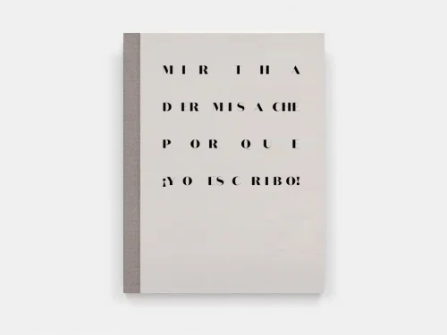 ISLAA - Website - Initiatives - Post 61 - Book Cover - Mirtha Dermisache Because I write!.jpg