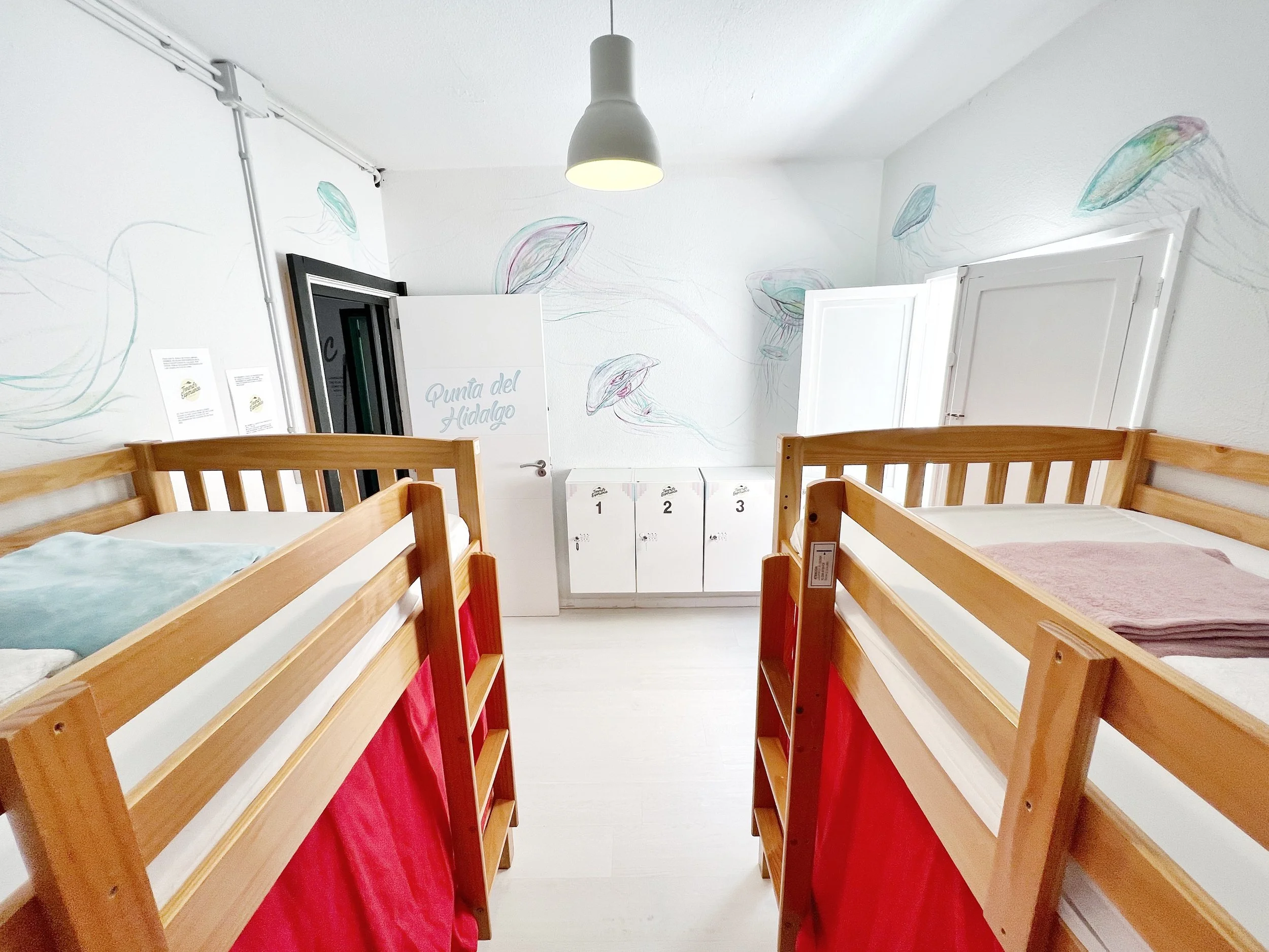 Punta Hidalgo 1.jpeg