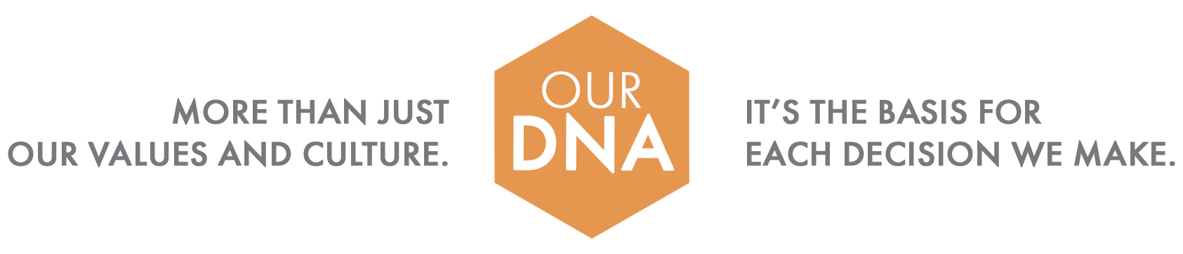 Our DNA Graphic.png