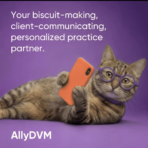 PING_VMX_TEASER_V1 (1).gif