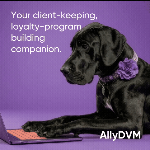 DANA_VMX_TEASER (1).gif